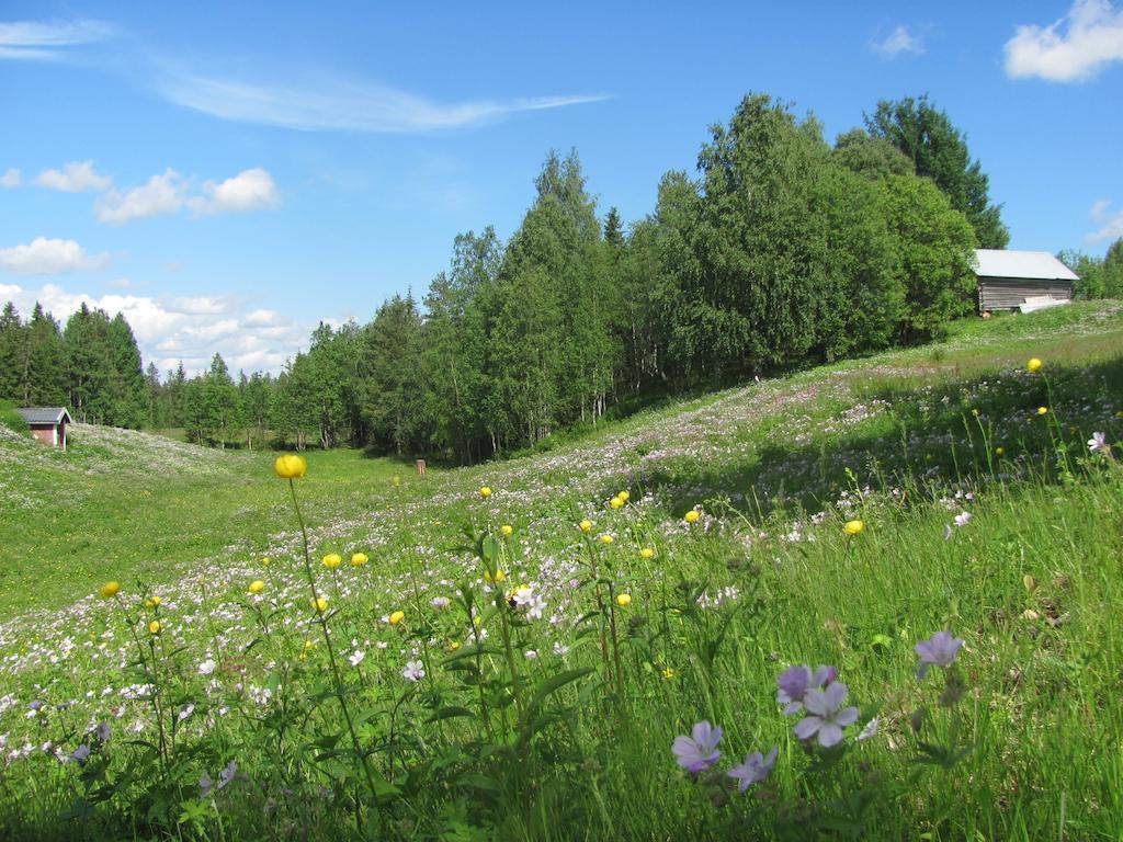 Kierinki Village Lomahuoneisto Exterior photo